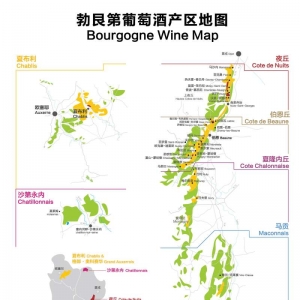 法國勃艮第產區知識大起底