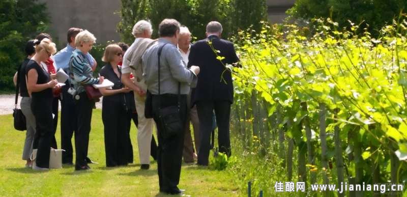 輕松學酒：給葡萄酒初學者的7點建議