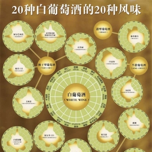 白葡萄酒品鑒速成寶典：風(fēng)味輪盤識記圖