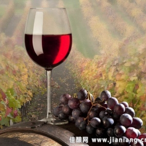 什么樣的葡萄酒才是好酒？好酒需要具備的條件