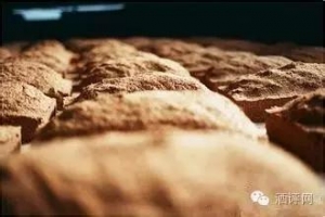 “曲是酒的骨”，“骨頭”與酒香的那些事你知多少？