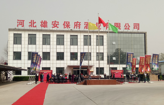 打造雄安新區文化名片 這就酒企緣何底氣十足？