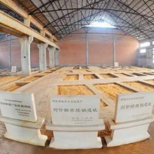 見證金元時期老窖池 劉伶醉首推“叁號庫”酒