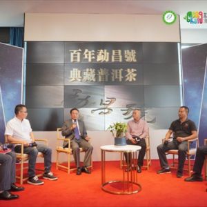 共話未來，勐昌號(hào)與業(yè)內(nèi)專家學(xué)者共謀百年古樹茶發(fā)展與方向