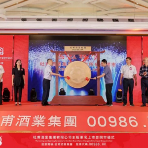 杜甫酒業(yè)借殼上市，港股是“價值洼地”還是“價值陷阱”？| 資本戰(zhàn)場（上） ...