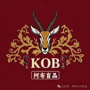 柯布（KOB）中國盲品實力榜：更新至2025年7月16日（計入RVF中國總決賽積分）